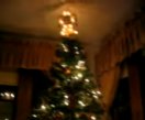 ChristmasFio-2004.jpg